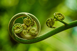 Adobe Stock neosiam