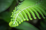 Adobe Stock Soonthorn