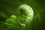 Adobe Stock evannovostro