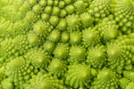 Adobe Stock Discovod