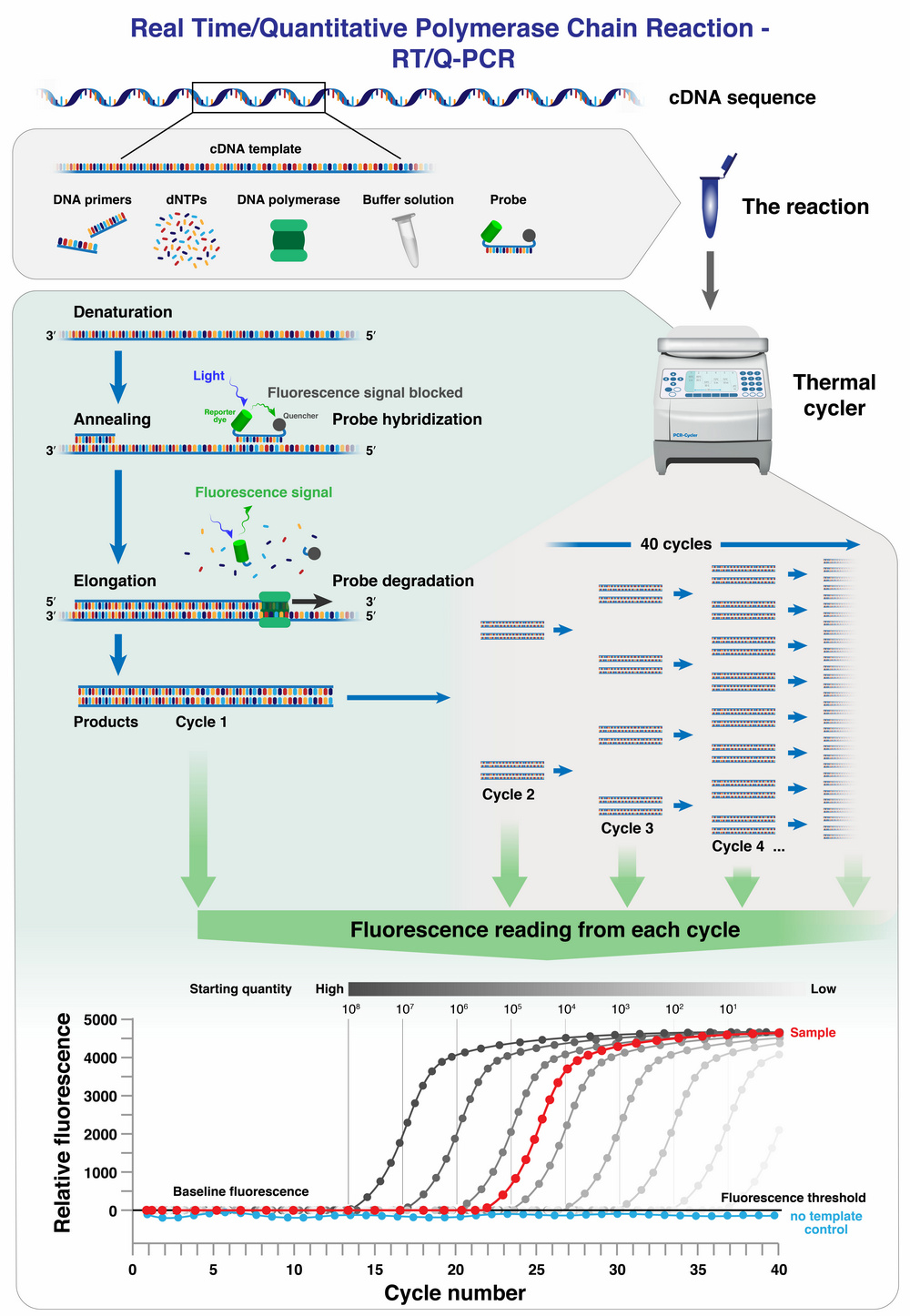 RTQ PCR