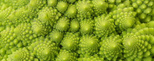 Natural Fractals - Romanesco