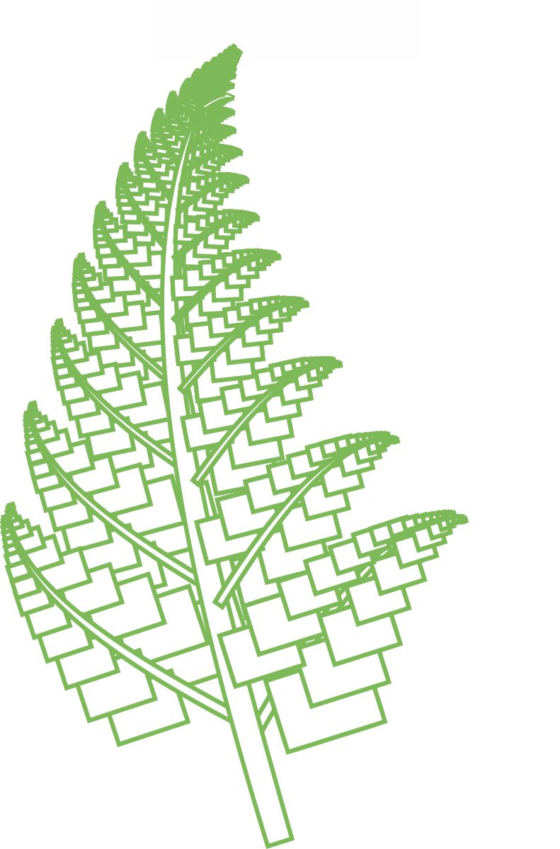 Cadida Logo Fern