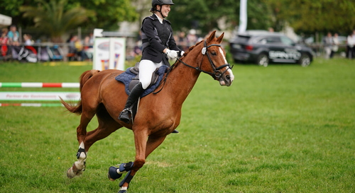 Reitturnier in Freiburg 2024